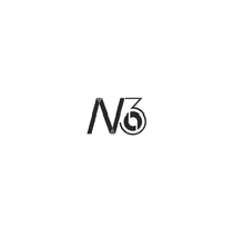 N 03
