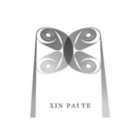 XIN PAITE