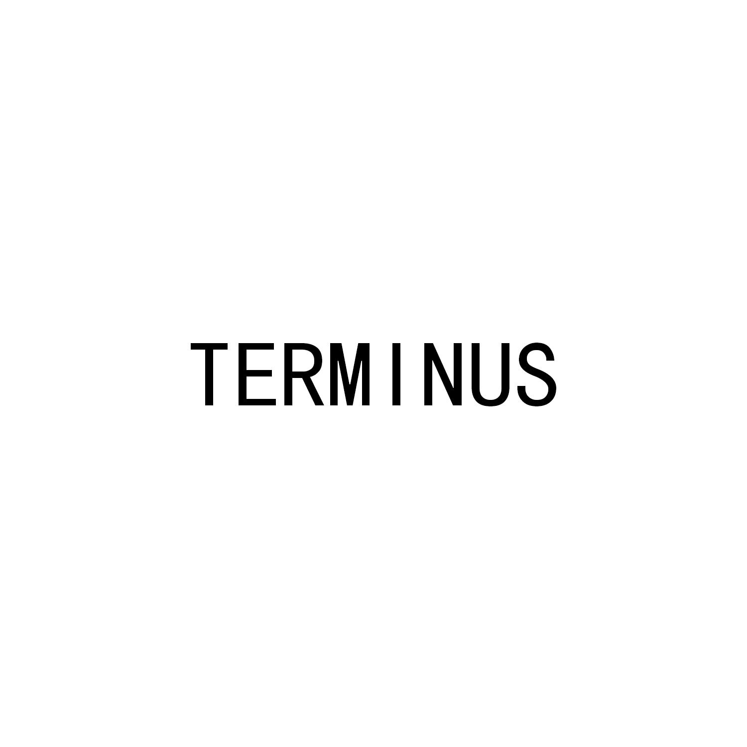 TERMINUS