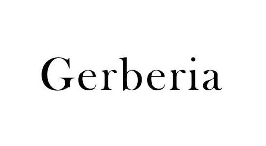GERBERIA