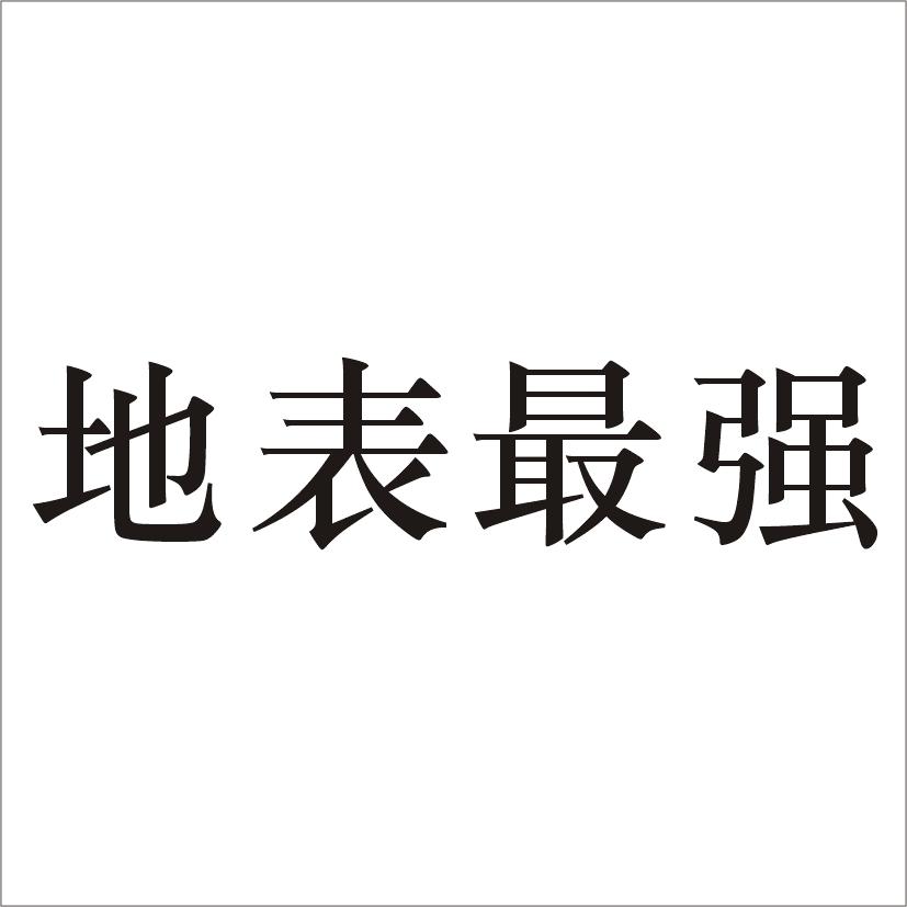 地表最强