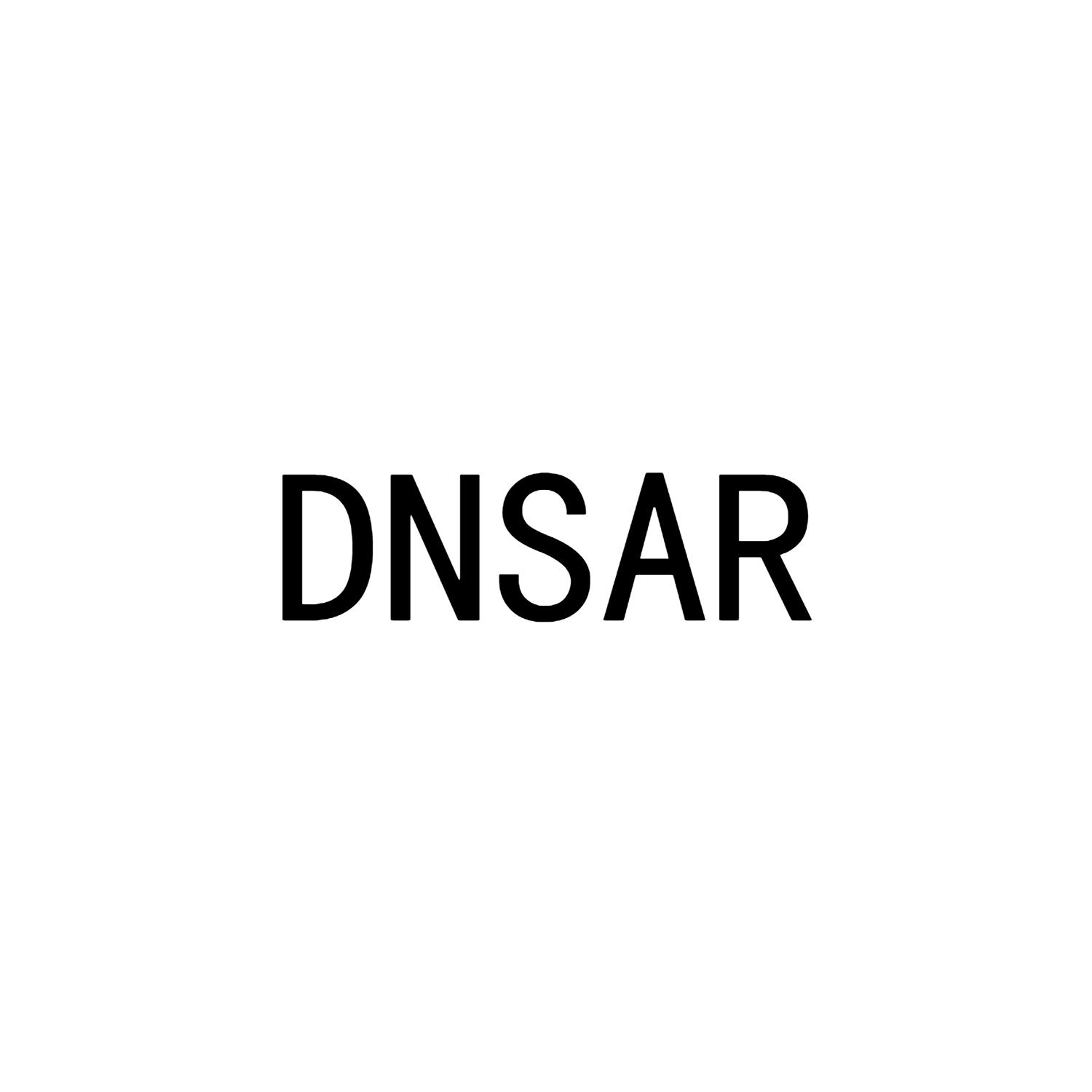 DNSAR