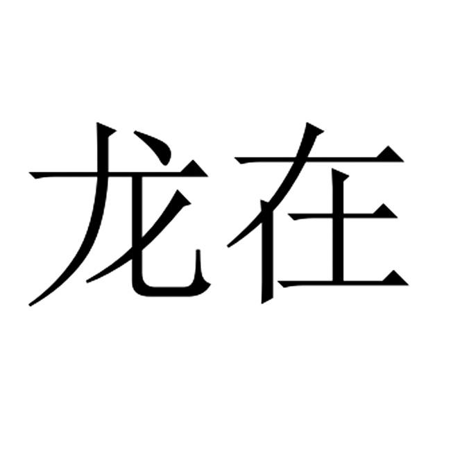 龙在