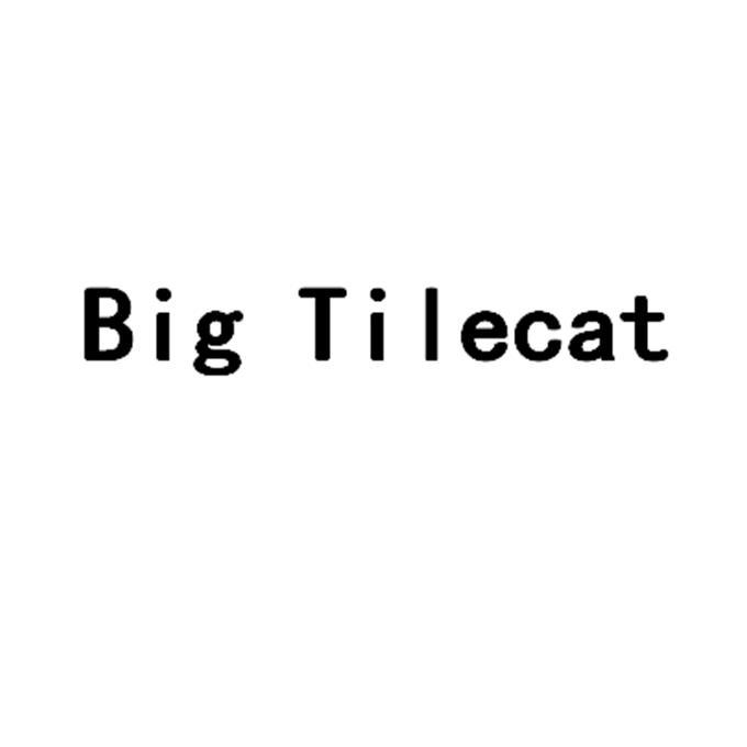 BIG TILECAT