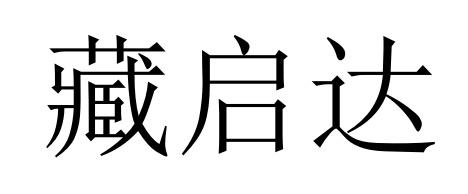 藏启达