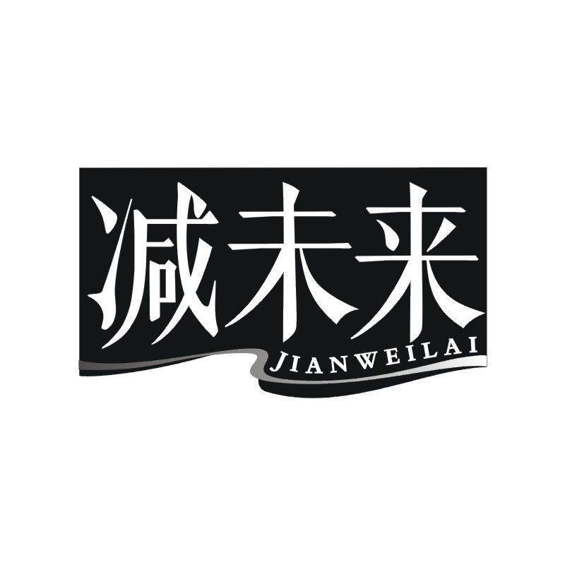 减未来