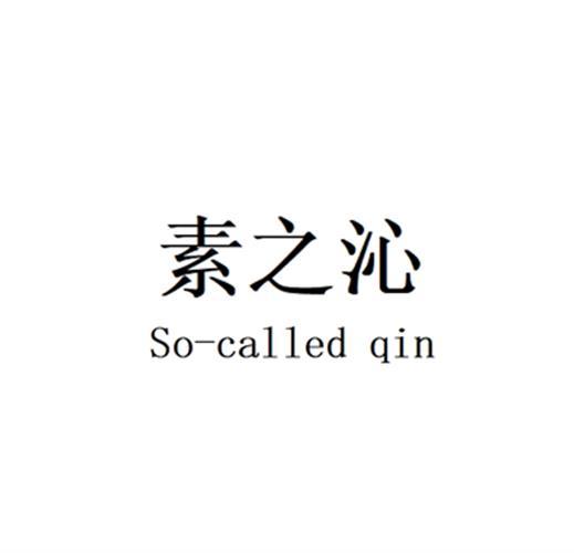素之沁 SO-CALLED QIN