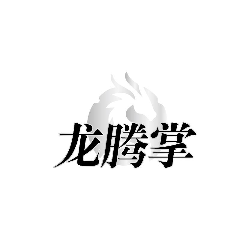 龙腾掌