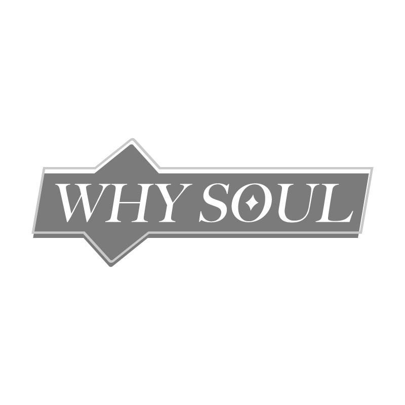 WHY SOUL