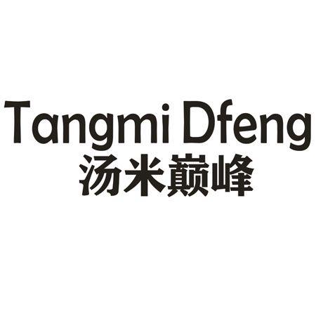汤米巅峰 TANGMI DFENG
