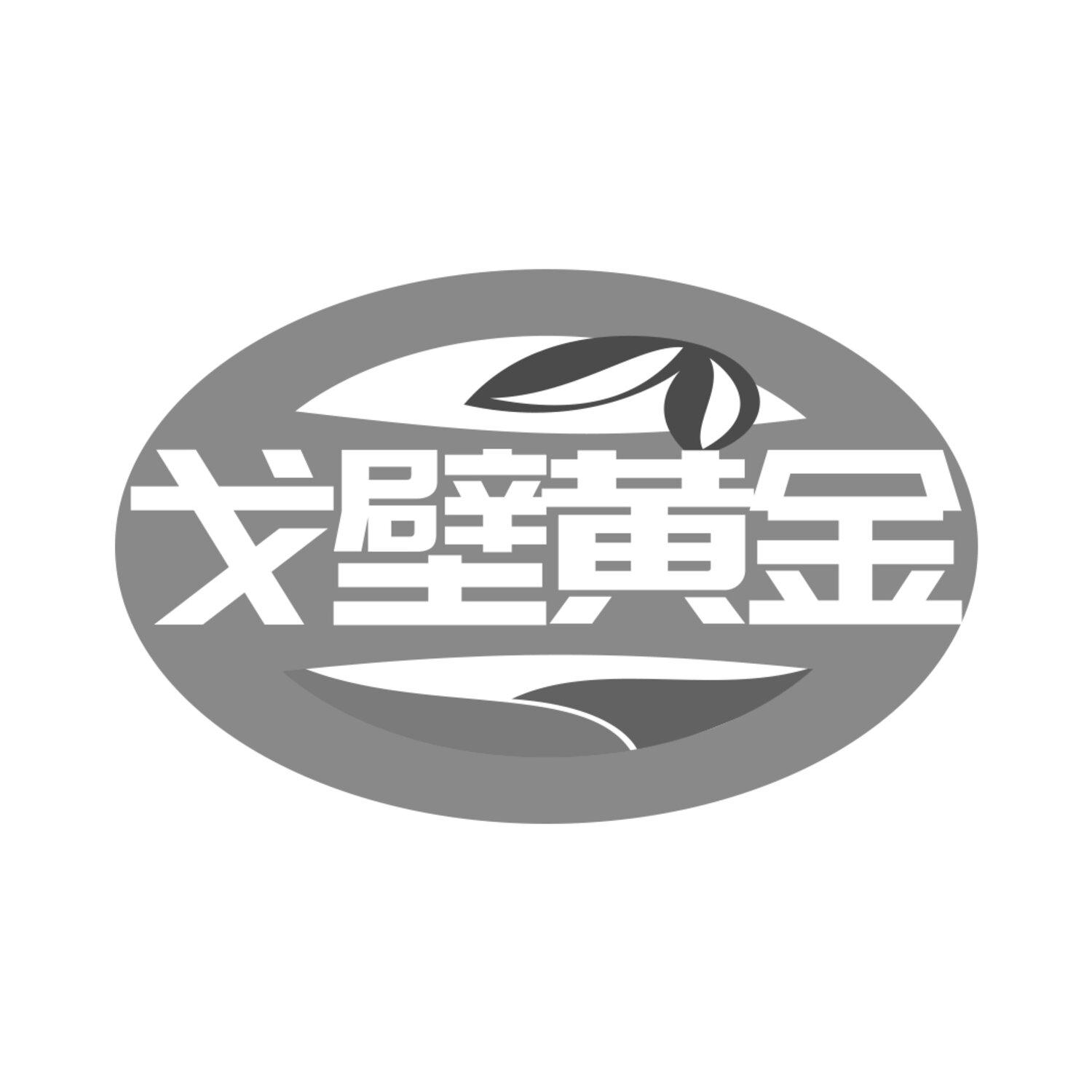 戈壁黄金