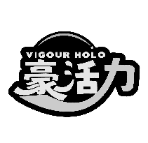 VIGOUR HOLO 豪活力