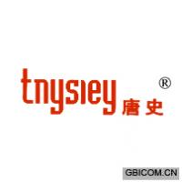 唐史 TNYSIEY