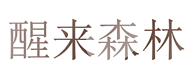 醒来森林
