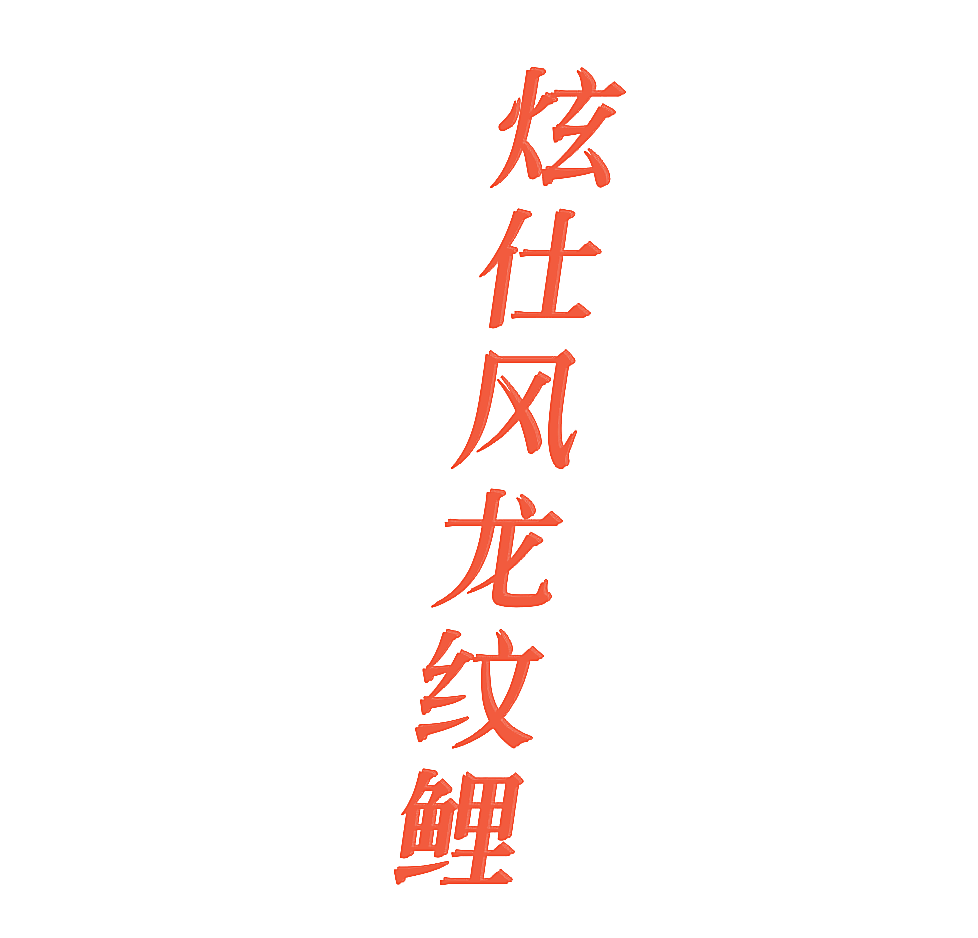 炫仕风龙纹鲤
