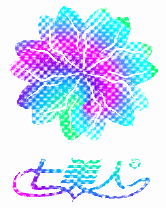 七美人茶