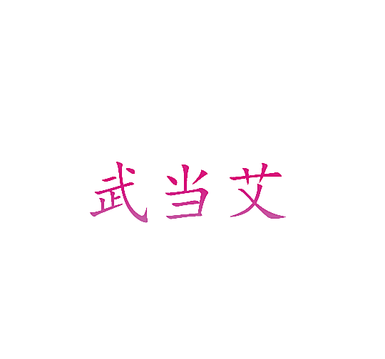 武当艾