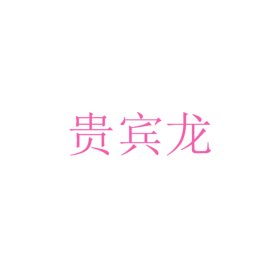 贵宾龙