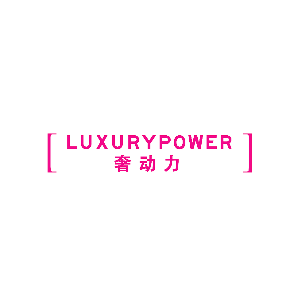 奢动力 LUXURYPOWER