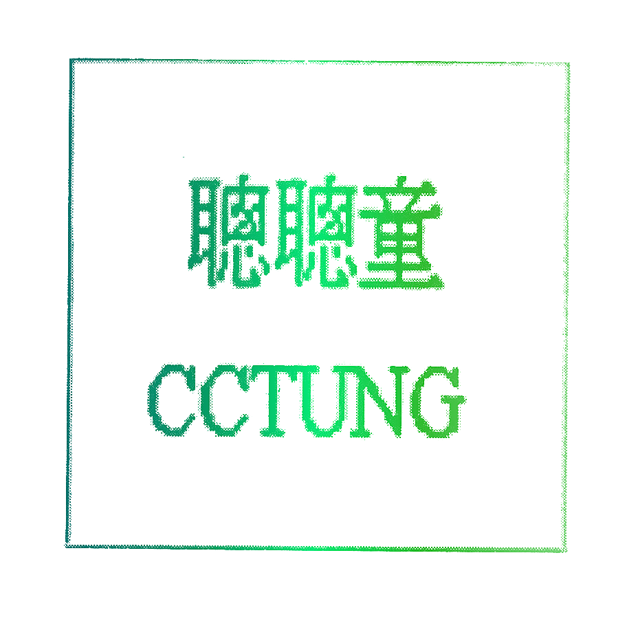 聪聪童;CCTUNG