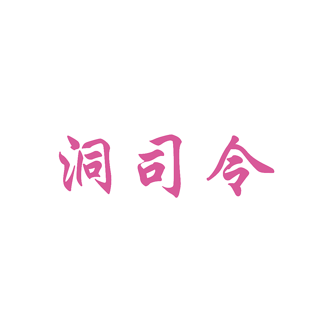 洞司令