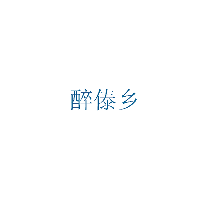 醉傣乡