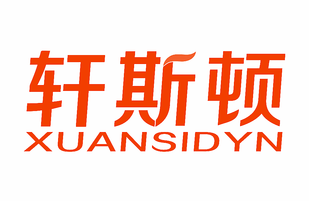 轩斯顿 XUANSIDYN
