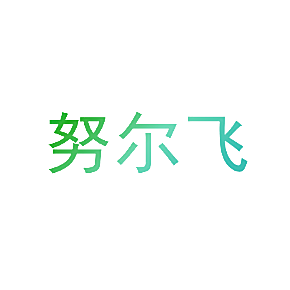 努尔飞