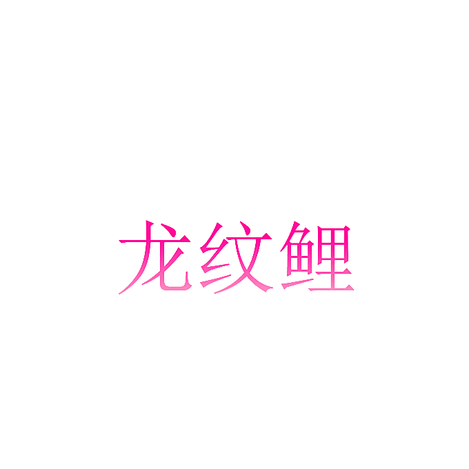 龙纹鲤