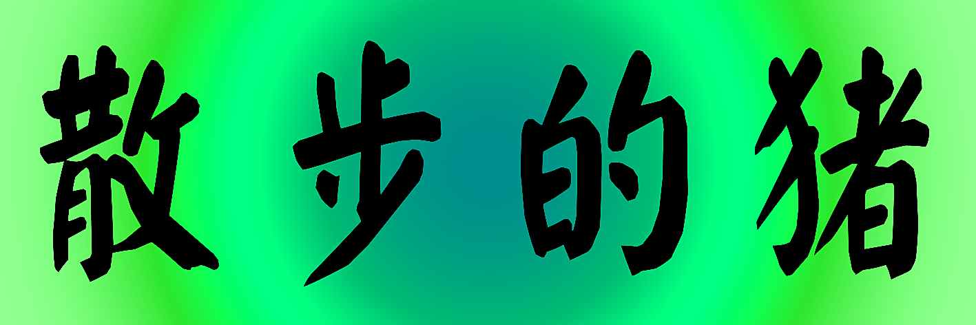 散步的猪