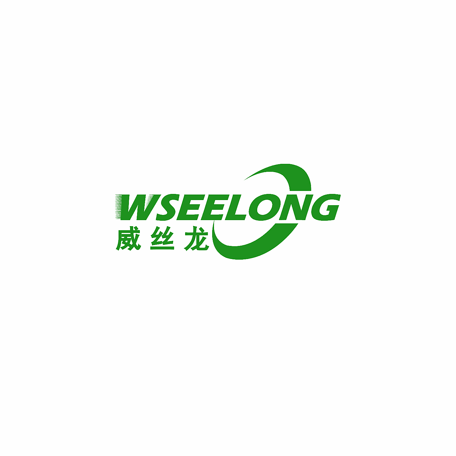 威丝龙 WSEELONG
