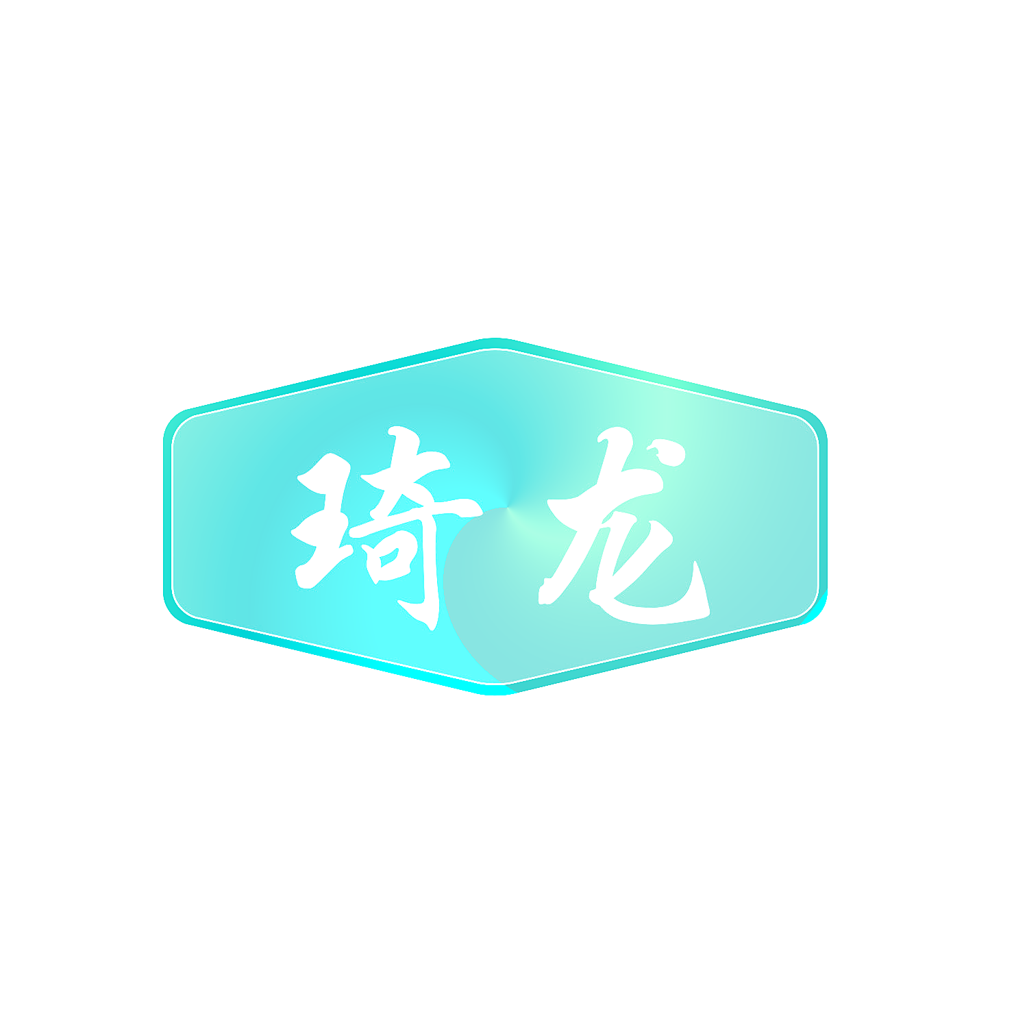 琦龙