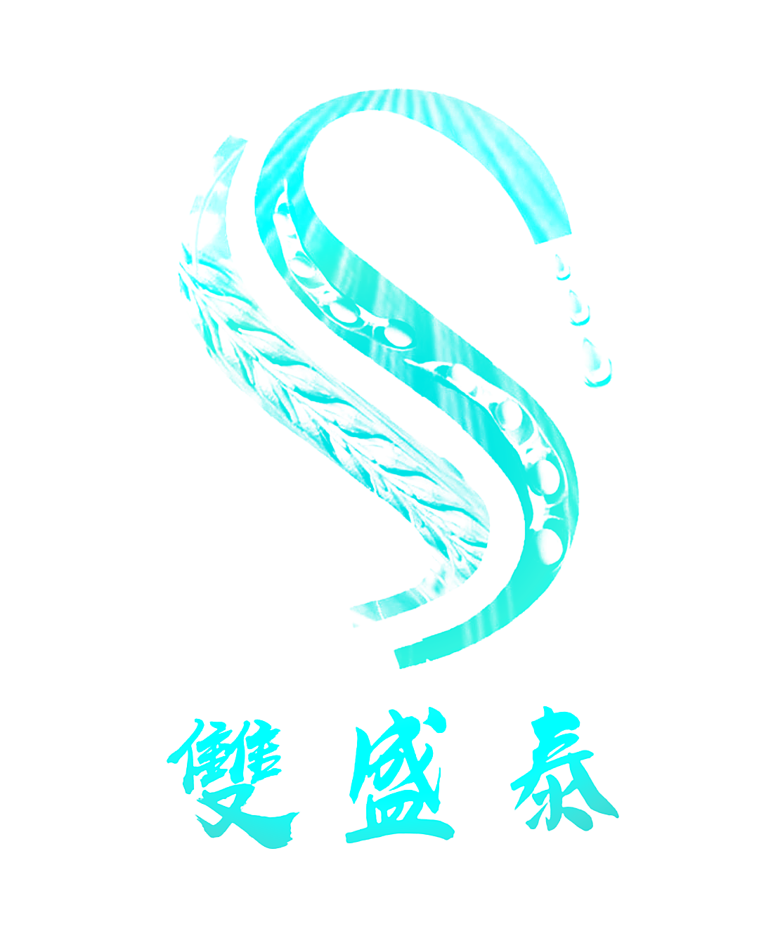双盛泰