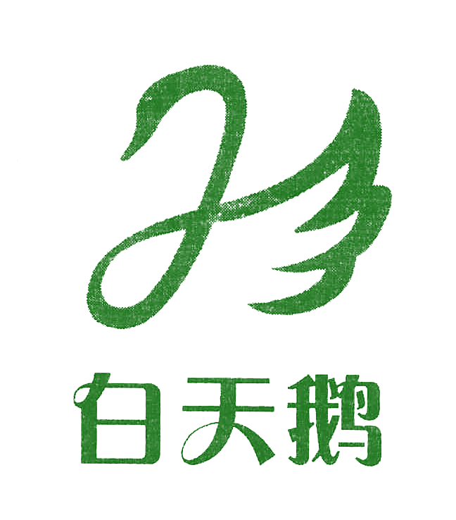 白天鹅