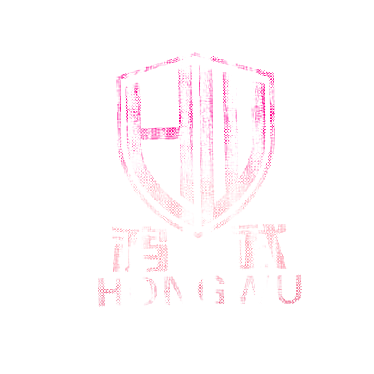 鸿武 HW
