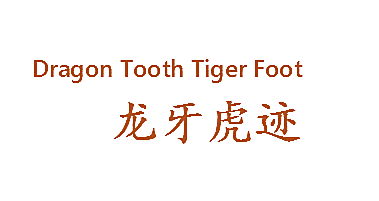 DRAGON TOOTH TIGER FOOT 龙牙虎迹