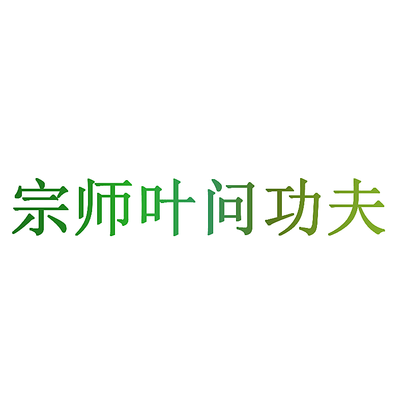 宗师叶问功夫