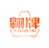 翱牌 SOARSPAI