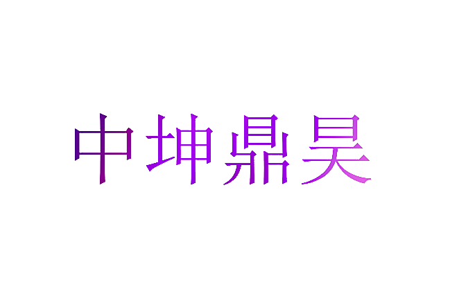 中坤鼎昊