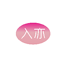 入亦