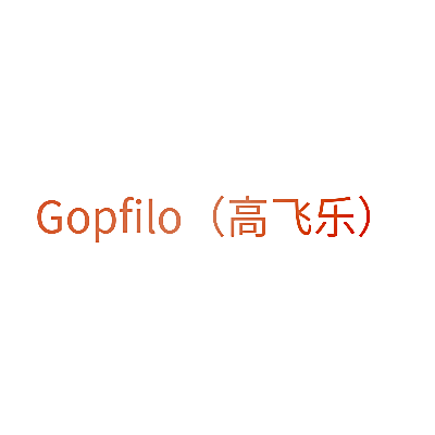 GOPFILO(高飞乐)