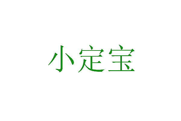 小定宝