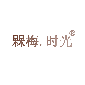 槑梅.时光
