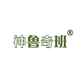 神鲁奇班