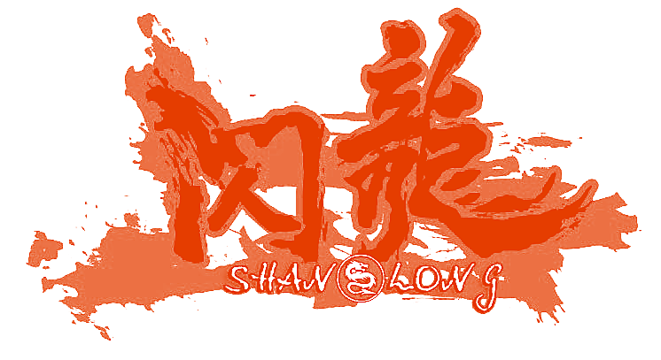 闪龙