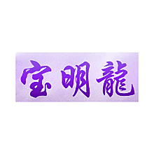 宝明龙